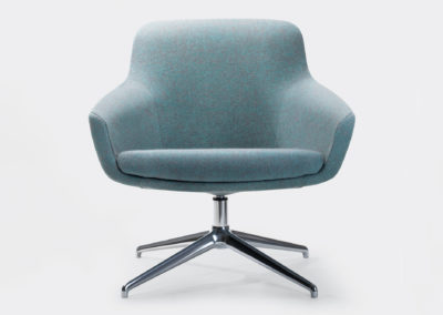 Product Feature: Gobi
