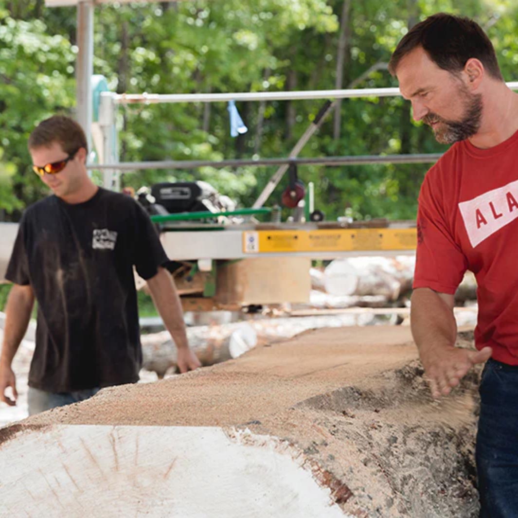 Tree Concierge Service Tree Concierge Service